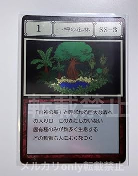 HUNTER × HUNTER グリードアイランド カード Amazon.co.jp: HUNTER×HUNTER 支配者の祝福 グリードアイランド